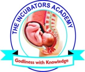 Incubators Secondary Academy Logo